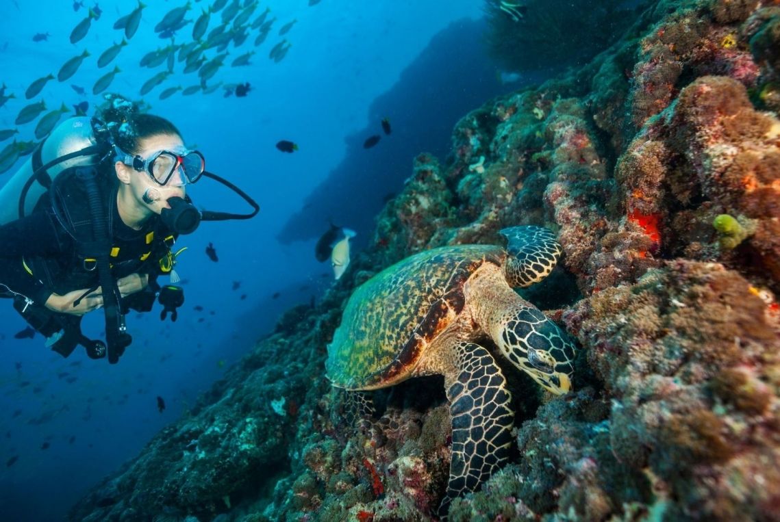 Diving