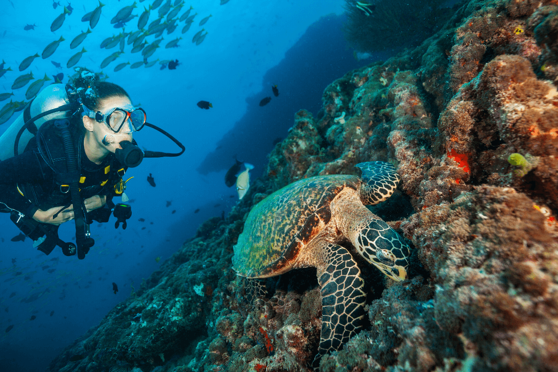 Scuba Diving at Grand Park Kodhipparu