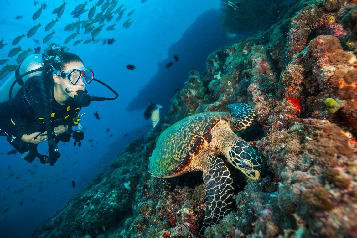 Grand Park Kodhipparu, House Reefs and Diving Course