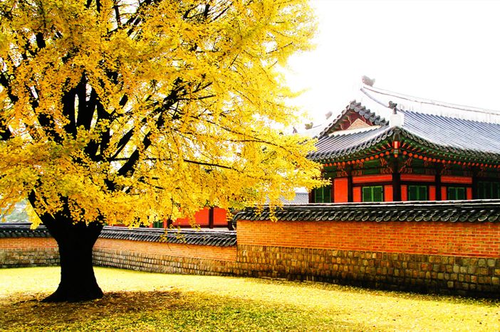 Photo Credit: Korea Tourism Organization